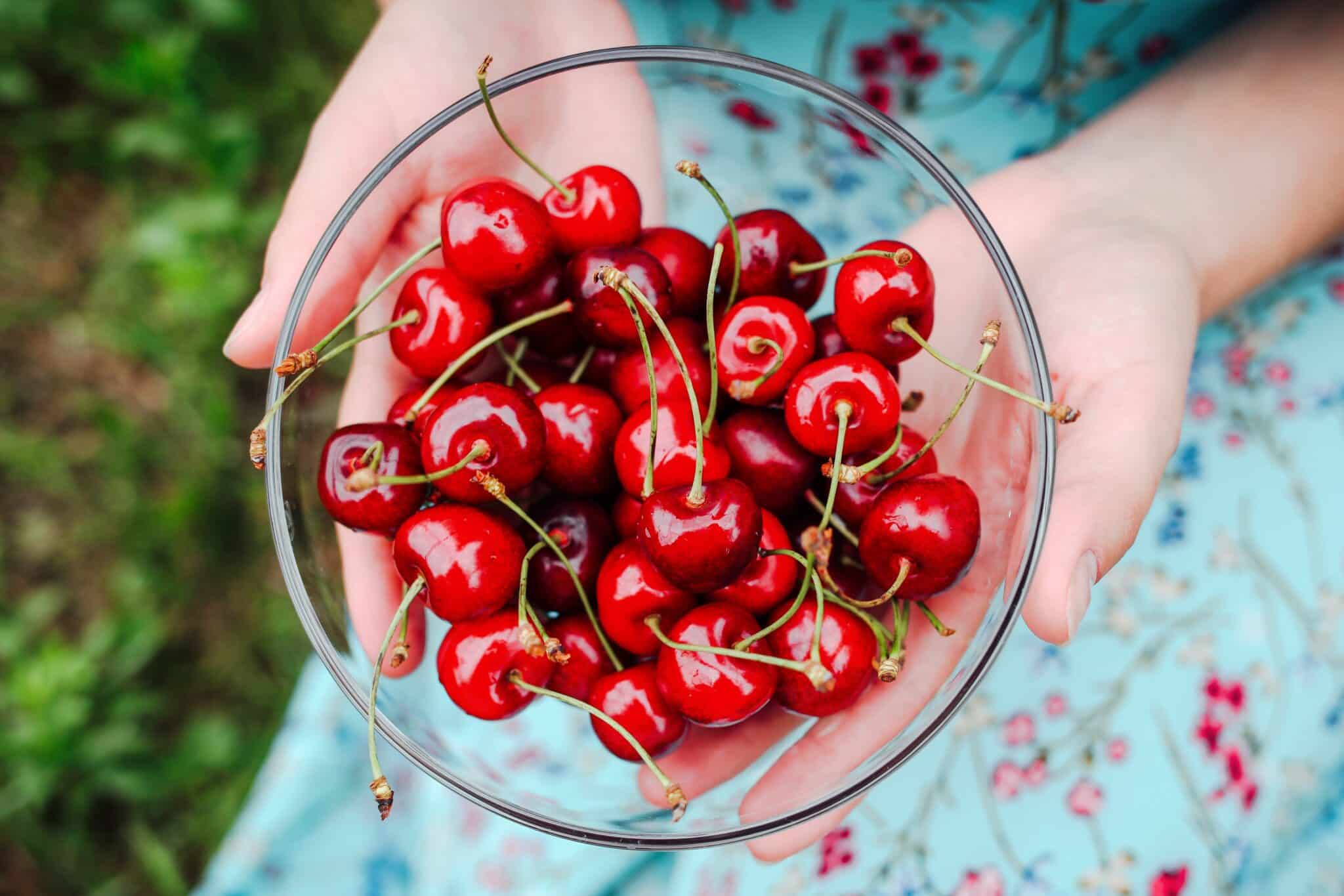 Benefits of Cherries 