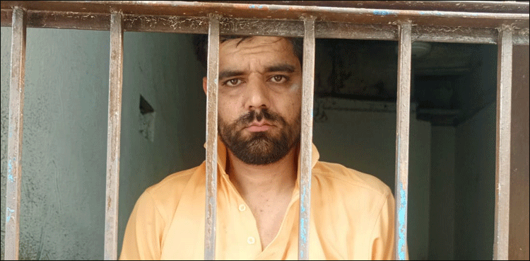 ڈاکٹر مشعل کا شوہر حسنین