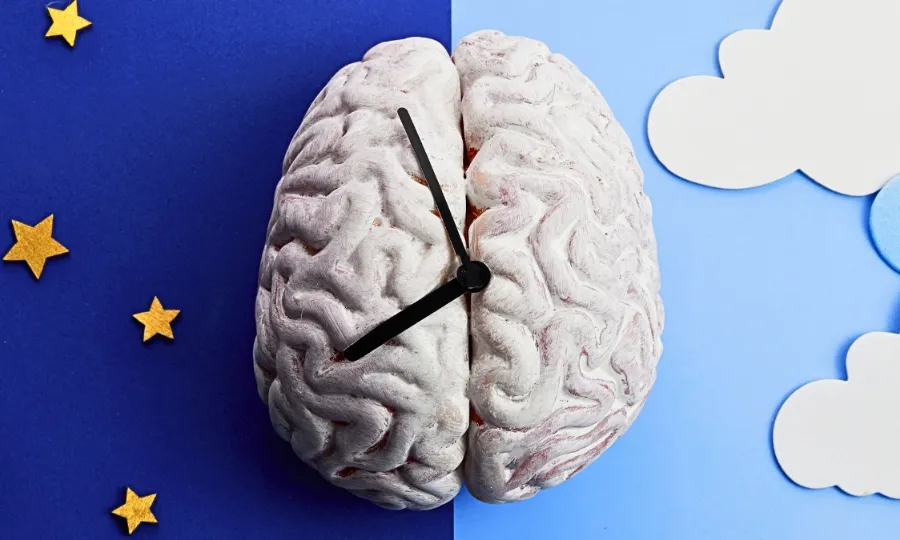 الارم سے پہلے 