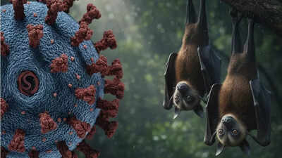 Nipah Virus Alert 