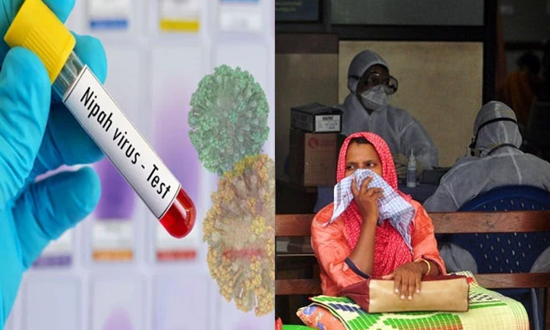 نیپاہ وائرس 
